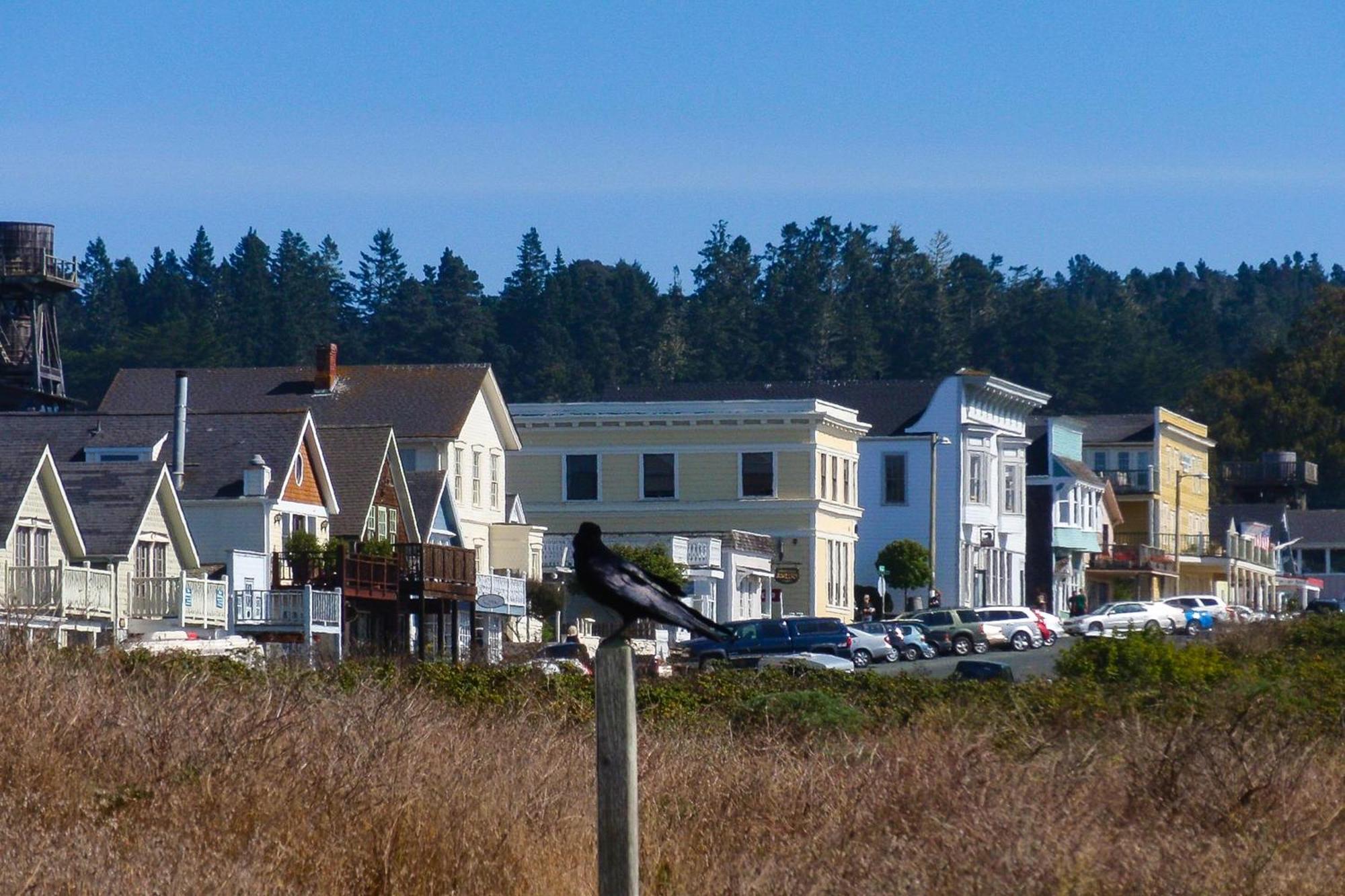 Mendocino Redwood Retreat - Vista Home Albion Kültér fotó