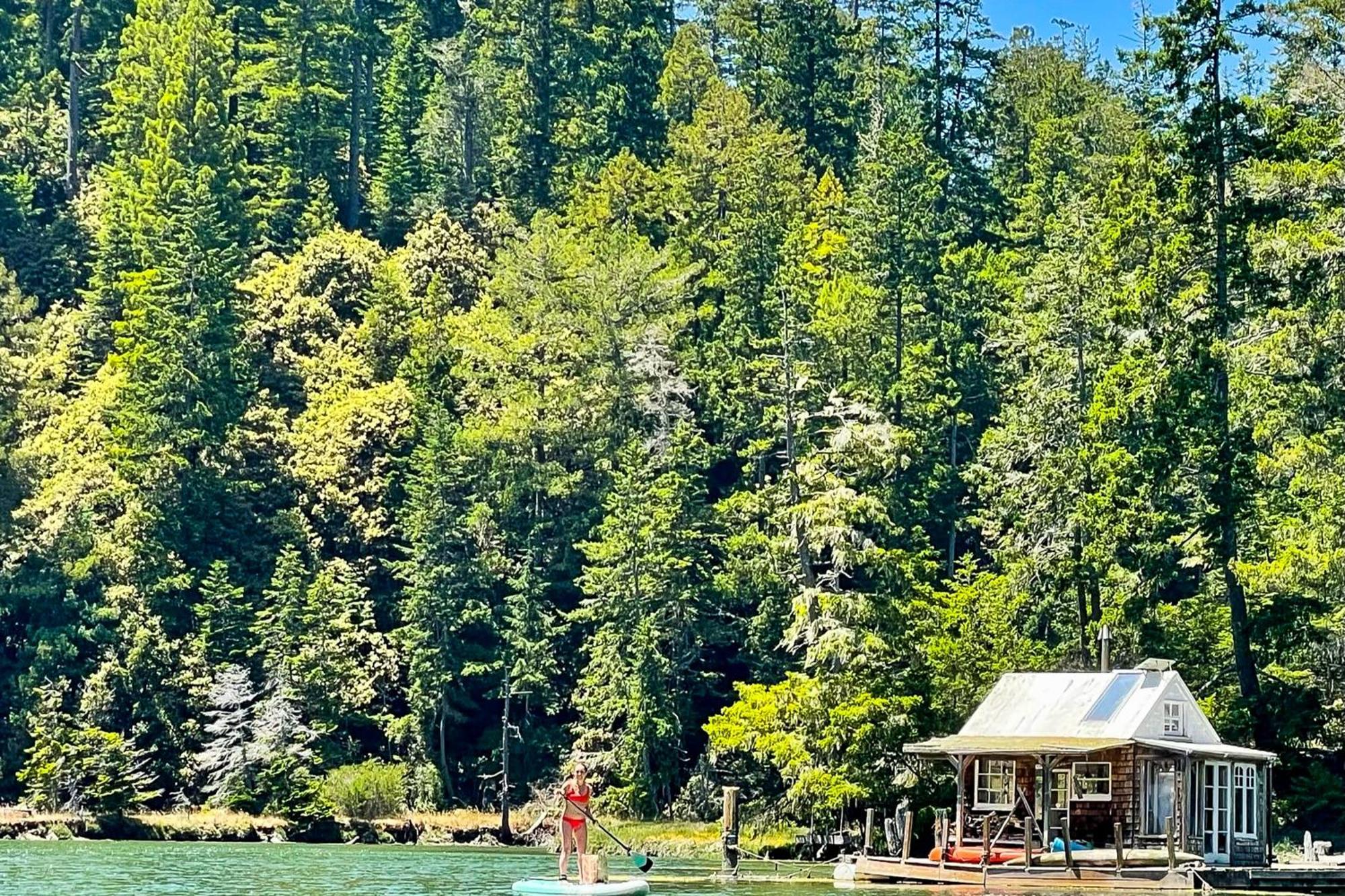 Mendocino Redwood Retreat - Vista Home Albion Kültér fotó